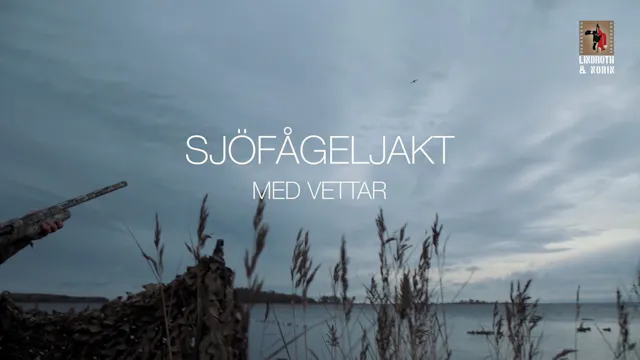 Sjöfågeljakt med vettar - med Ulf Lindroth