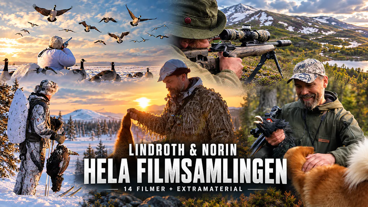 Hela filmsamlingen
