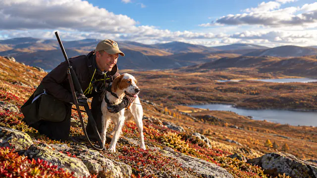 Ripjakt med stående fågelhund