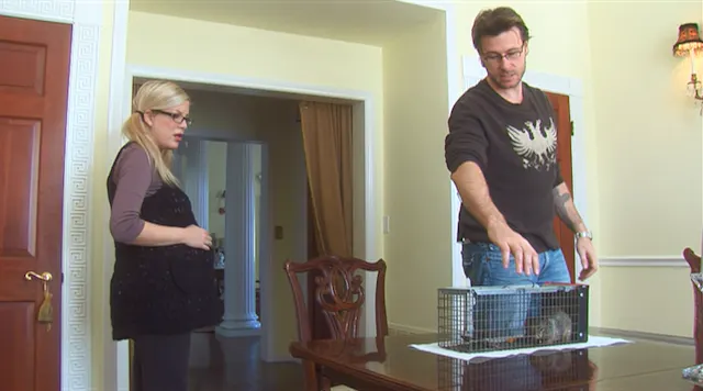 B&B or Bust?