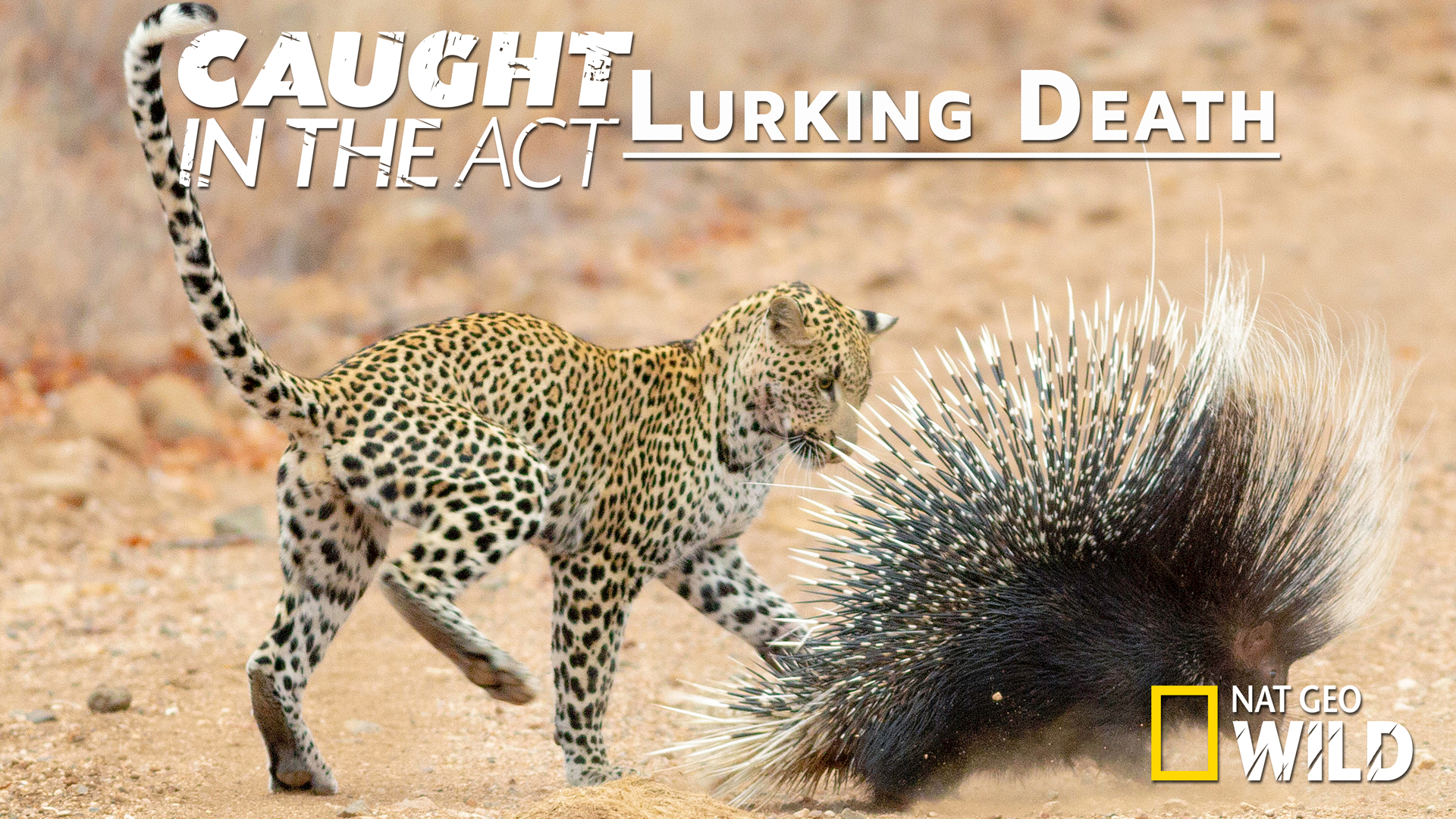 Caught in the Act: Lurking Death