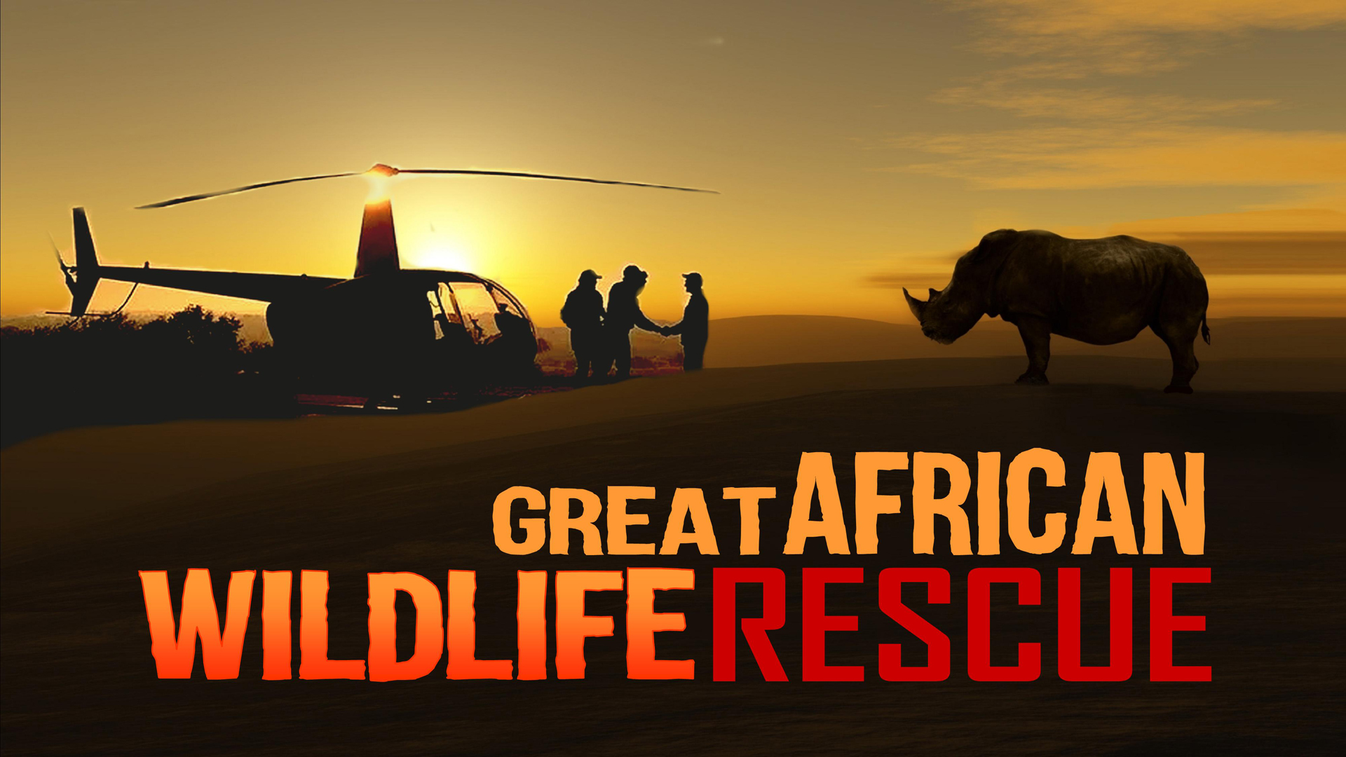 The Great African Wildlife Rescue