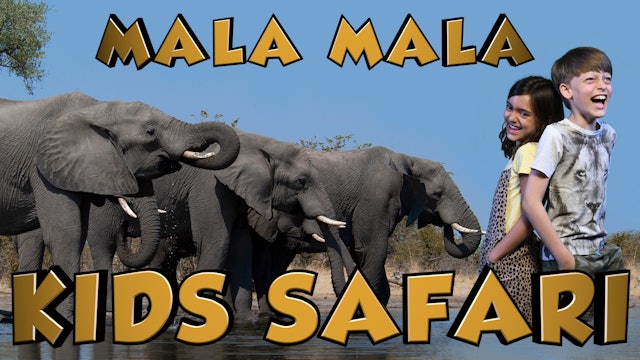 Kids Safari Mala Mala