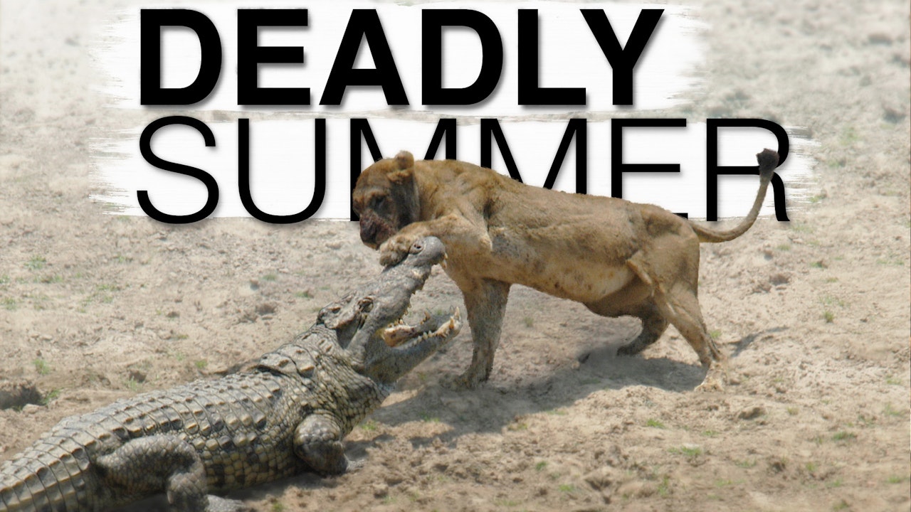 Deadly Summer