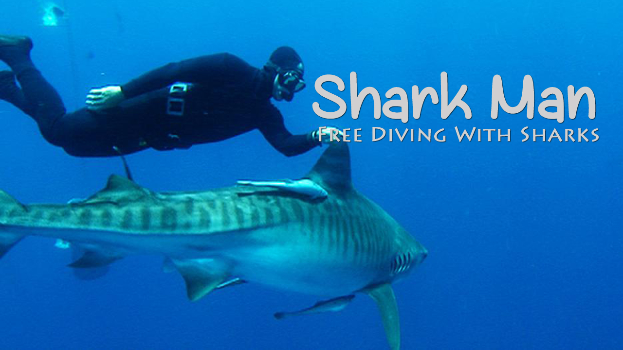 SHARK MAN - 1 - Free Diving With Mark Addison