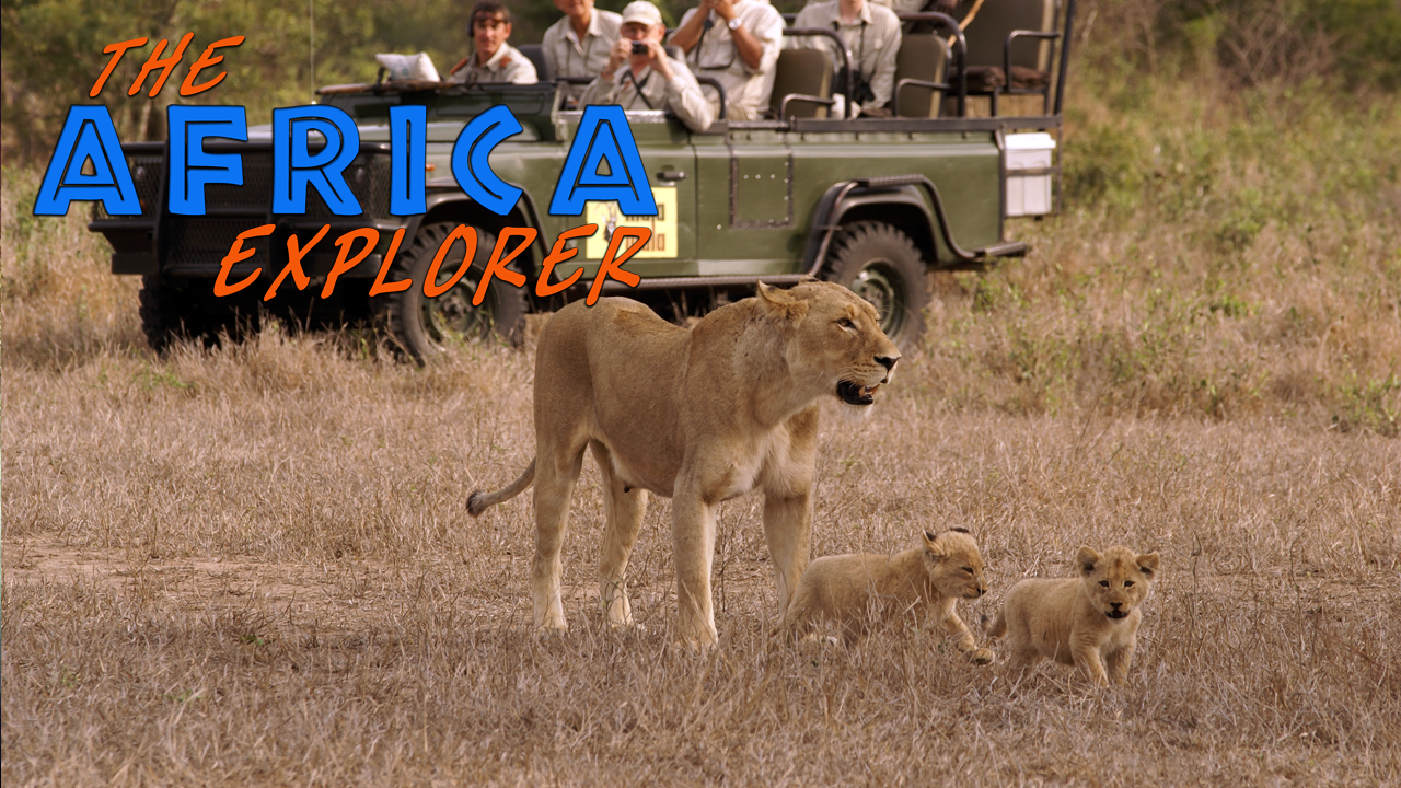 AE09 - It's all about the wildlife