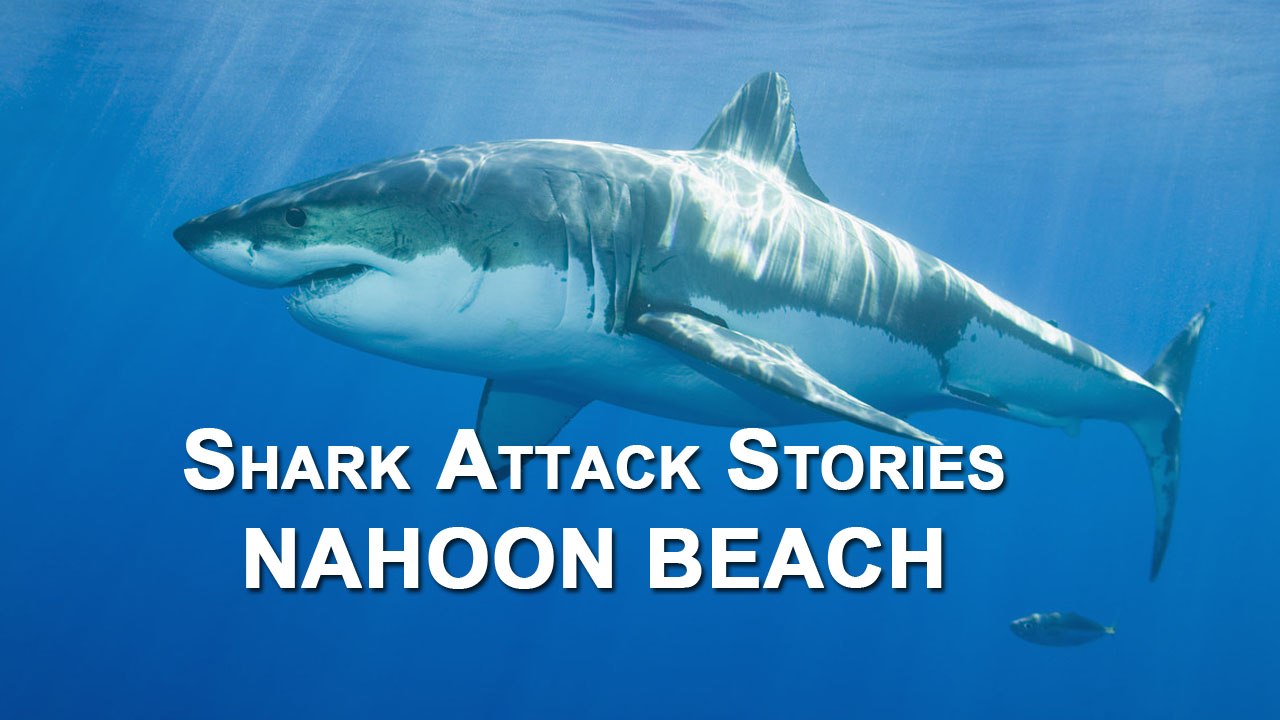 Shark Attack at Nahoon Beach.