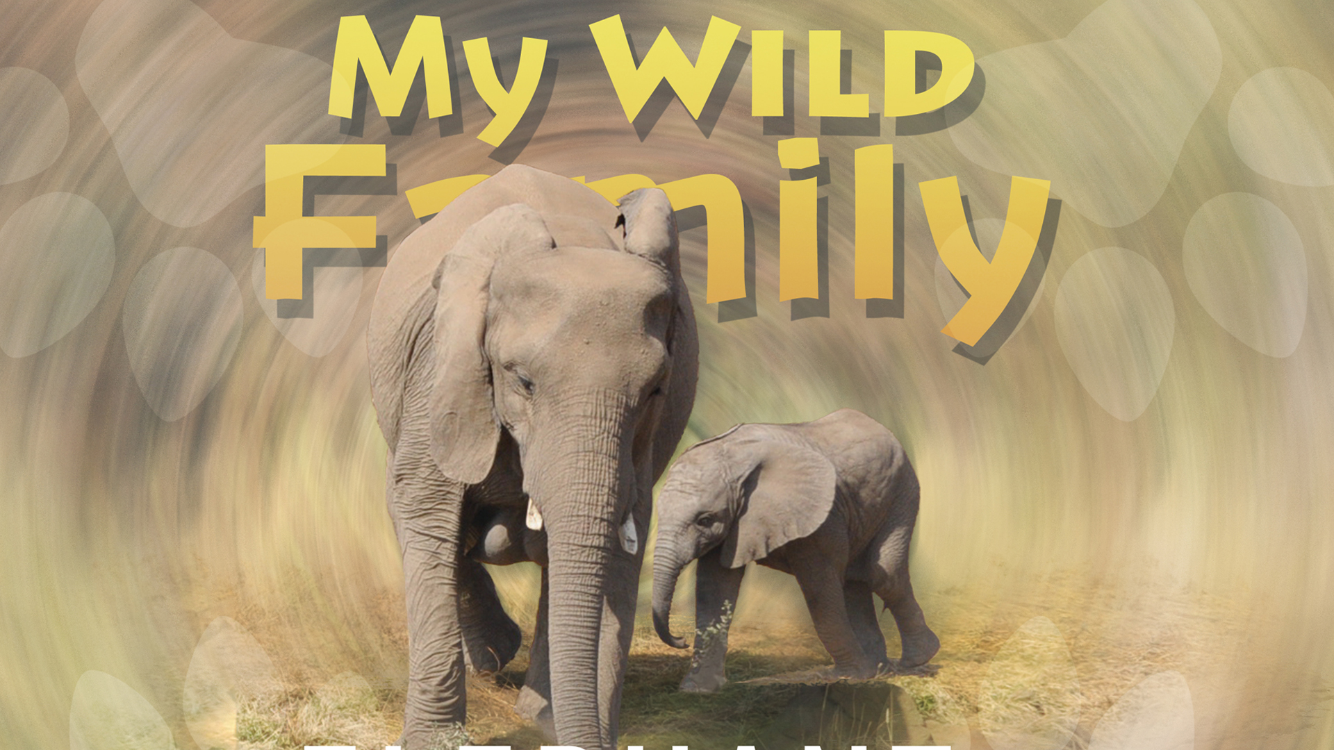 MWF107 - Baby Elephant