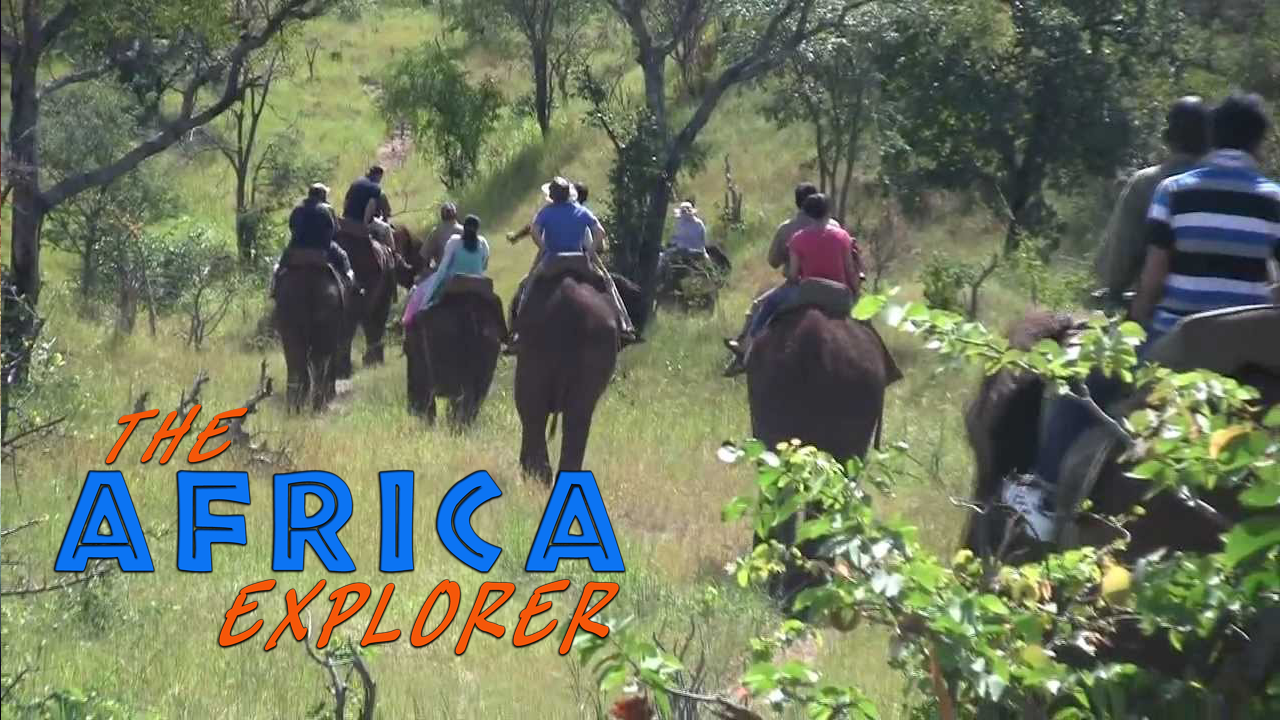 AE10 - Elephant Back Safari