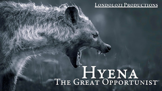Hyena: The Great Opportunist