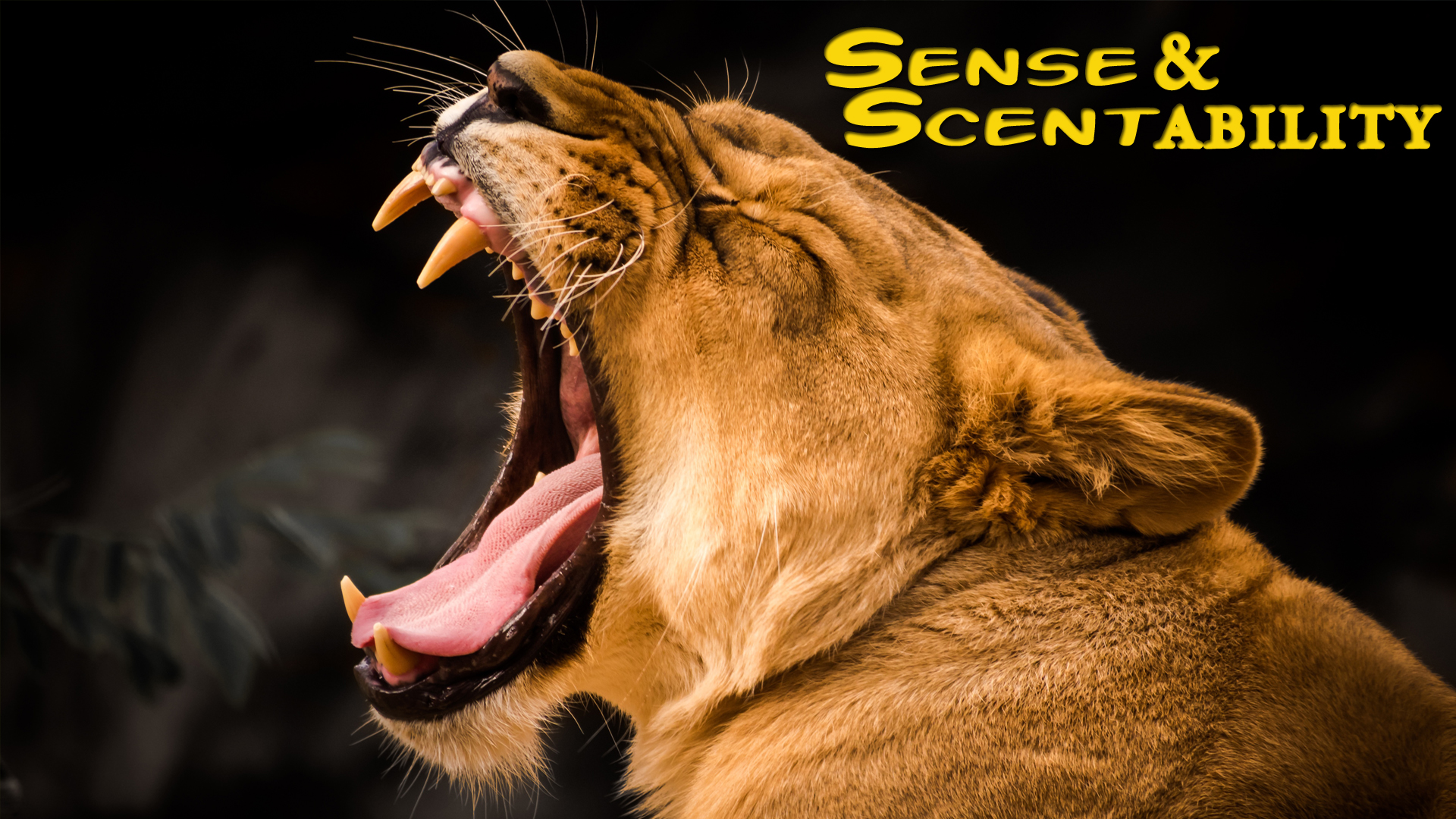 Sense & Scentability