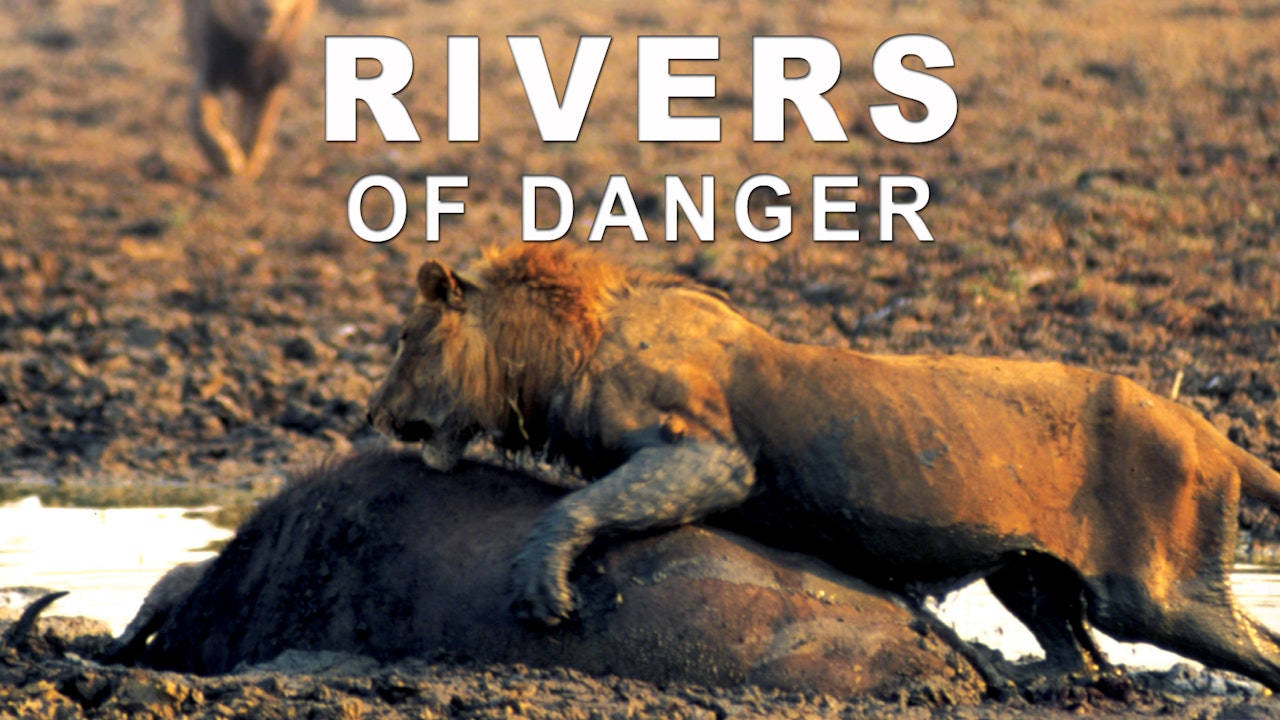 Rivers of Danger