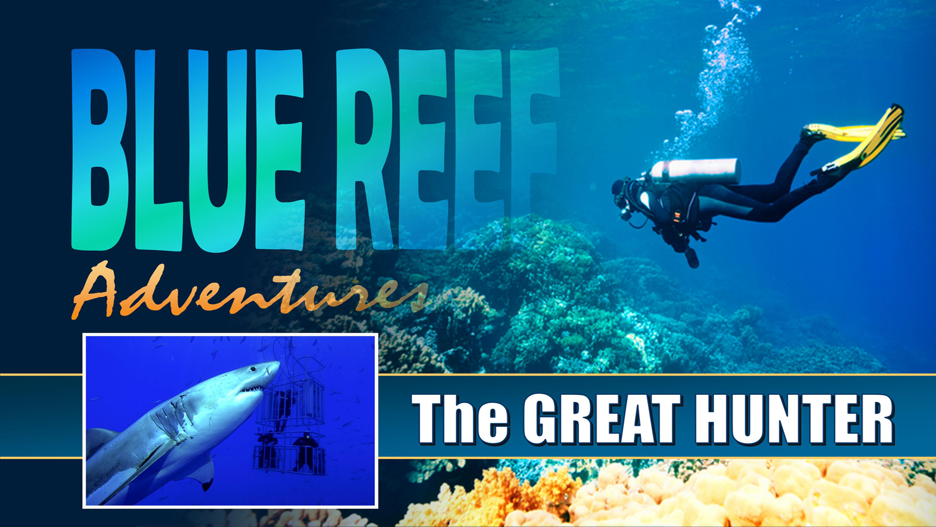 BRA07 - Great White Sharks of South Africa