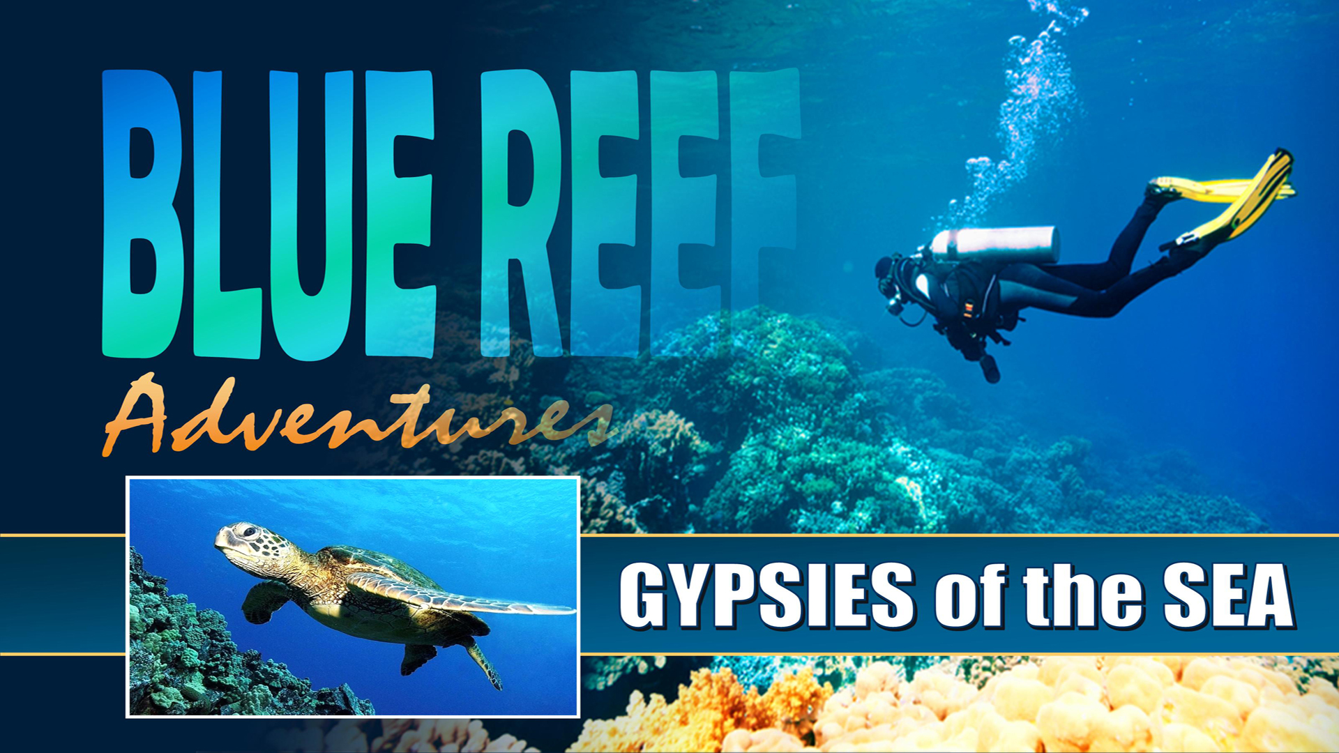 BRA08 - Turtles of the Indian Ocean