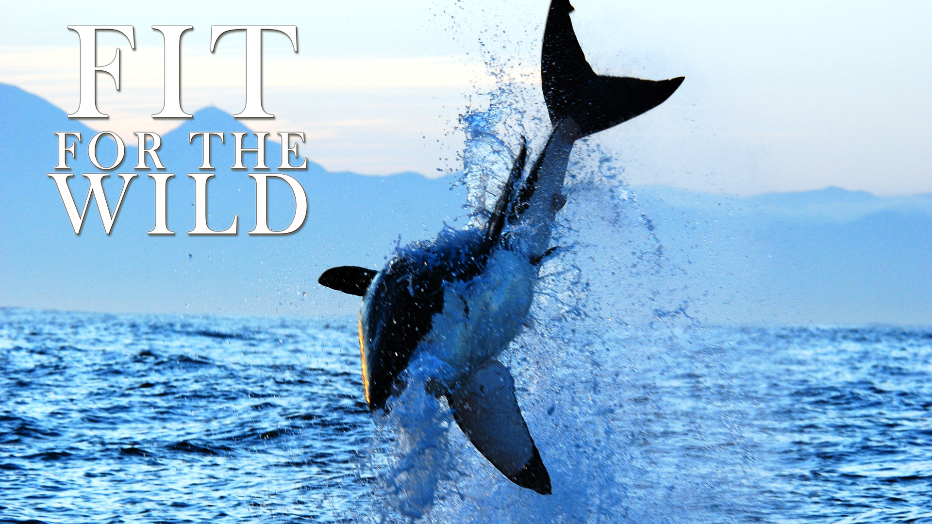 FFW04 - Adapted to the Coastline