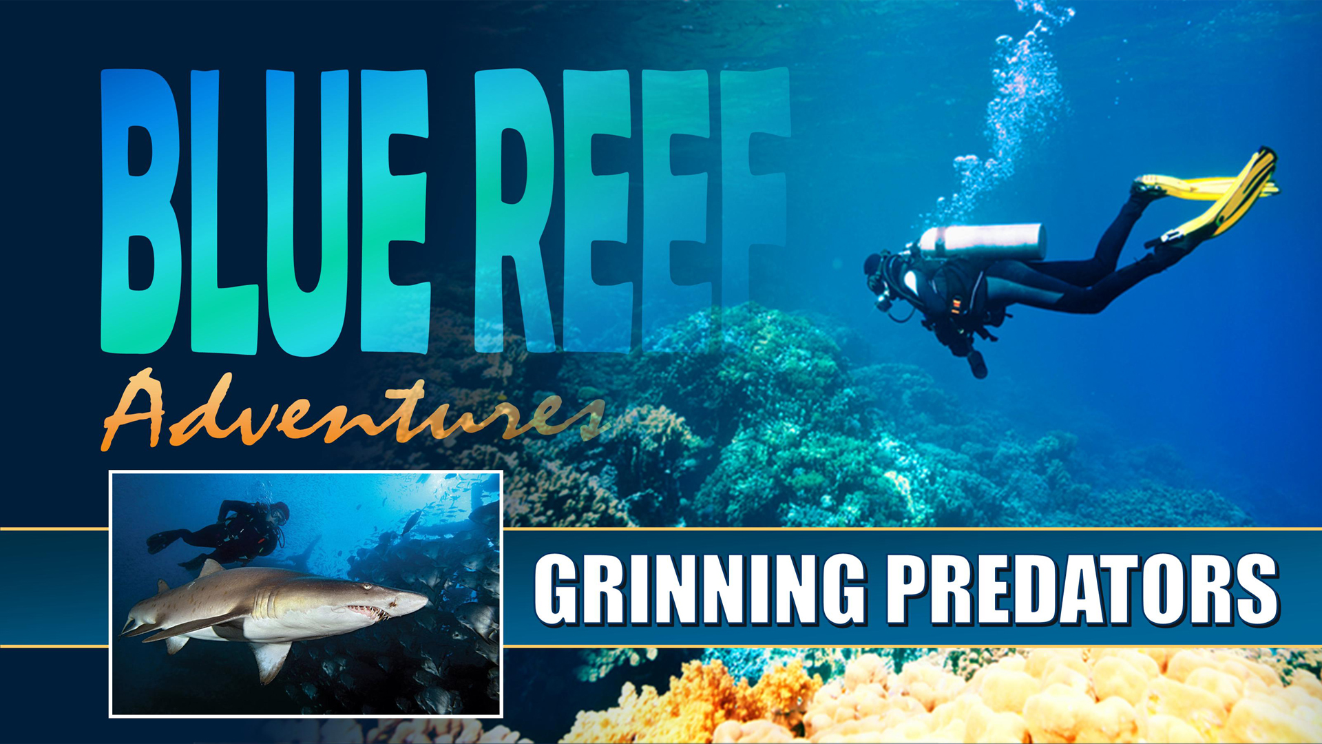 BRA03 - Grinning Predators