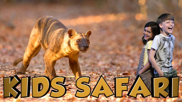 KIDS SAFARI MADAGASCAR -  FOSSA & TORTOISE