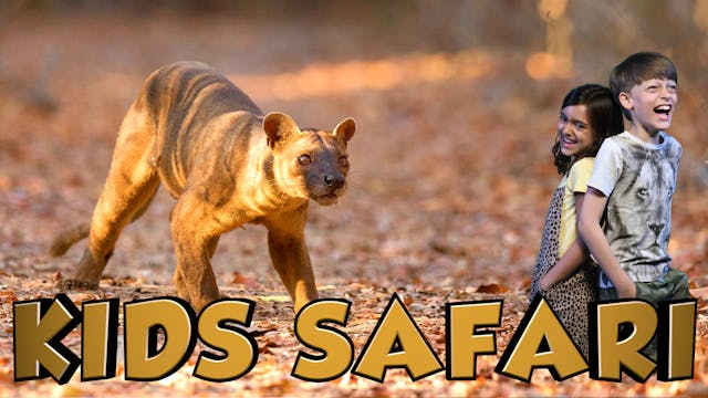 KIDS SAFARI MADAGASCAR -  FOSSA & TOR...