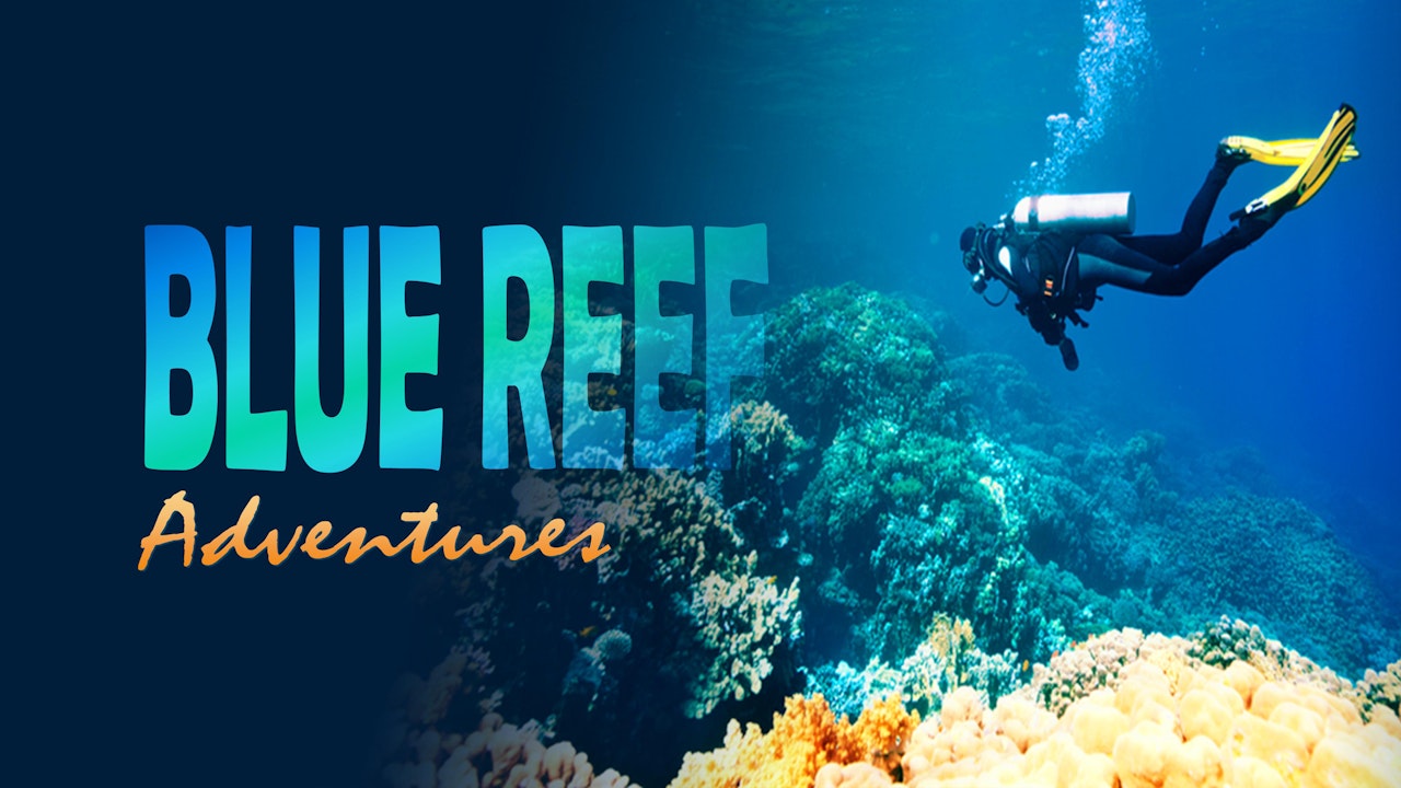 Blue Reef Adventures