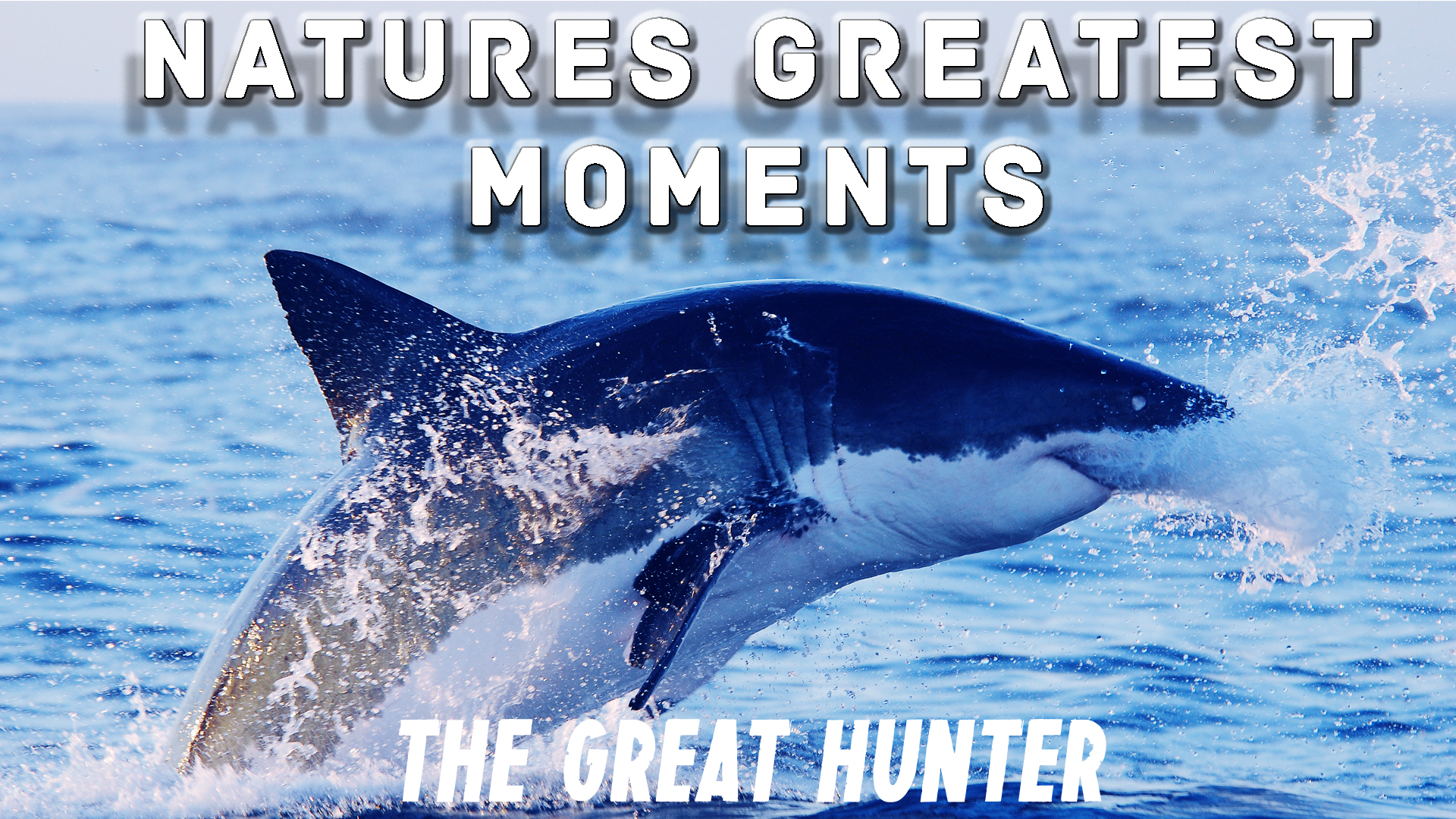 NGM101 - The Great Hunter