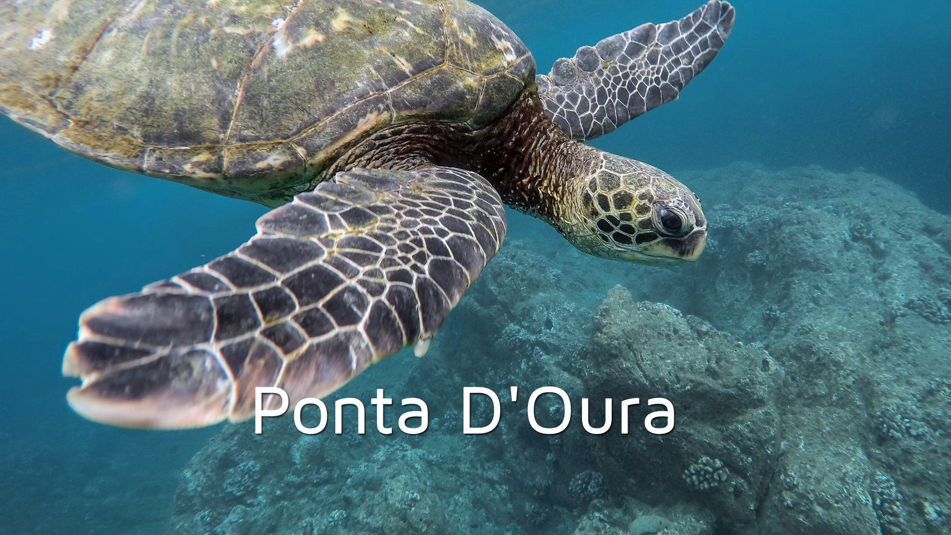 DA08 - Ponta D'Oura