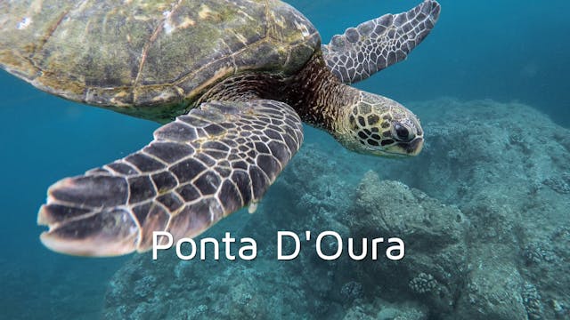 DA08 - Ponta D'Oura