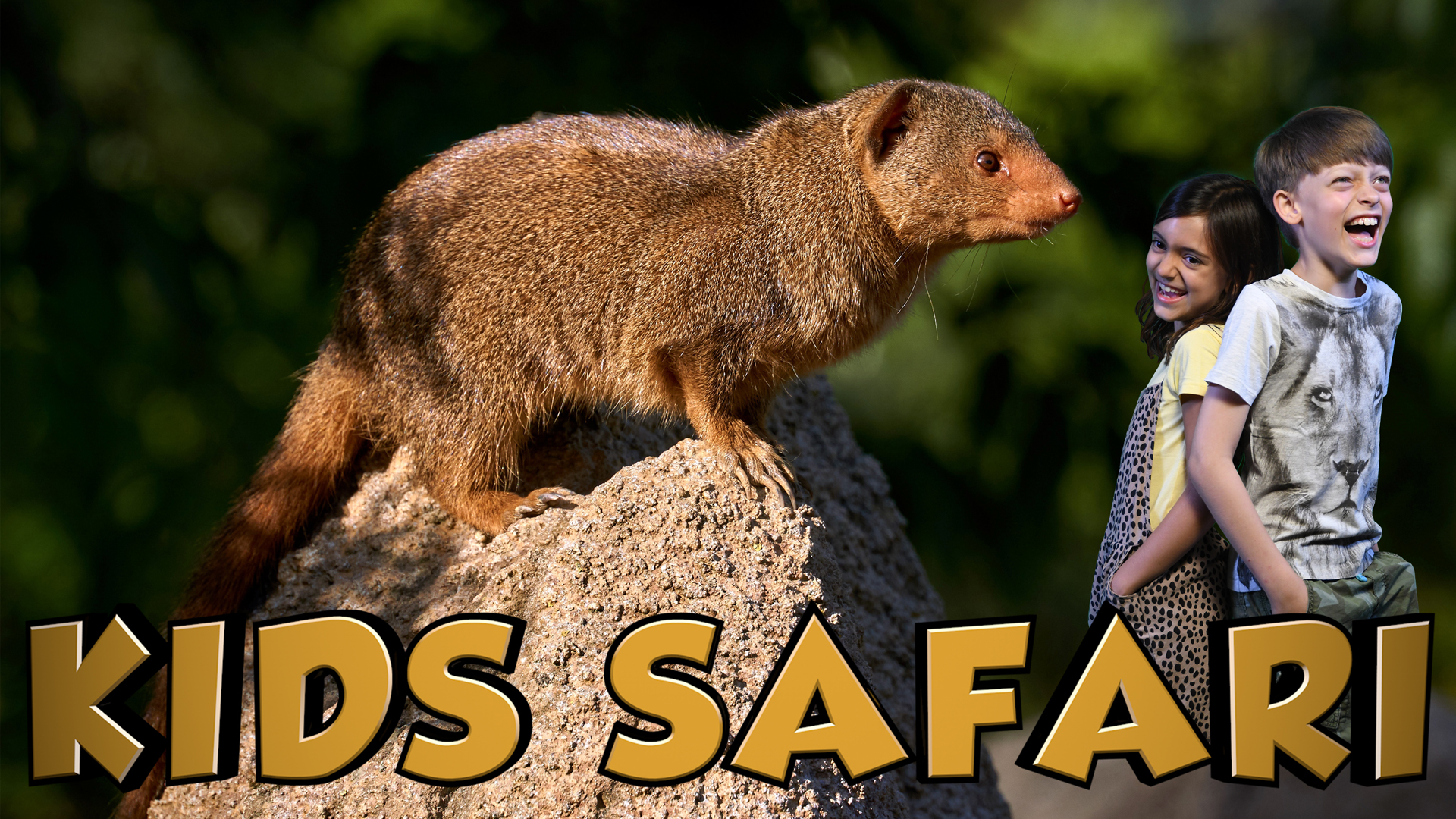 MALA MALA KIDS SAFARI - MONGOOSE AND HYENA