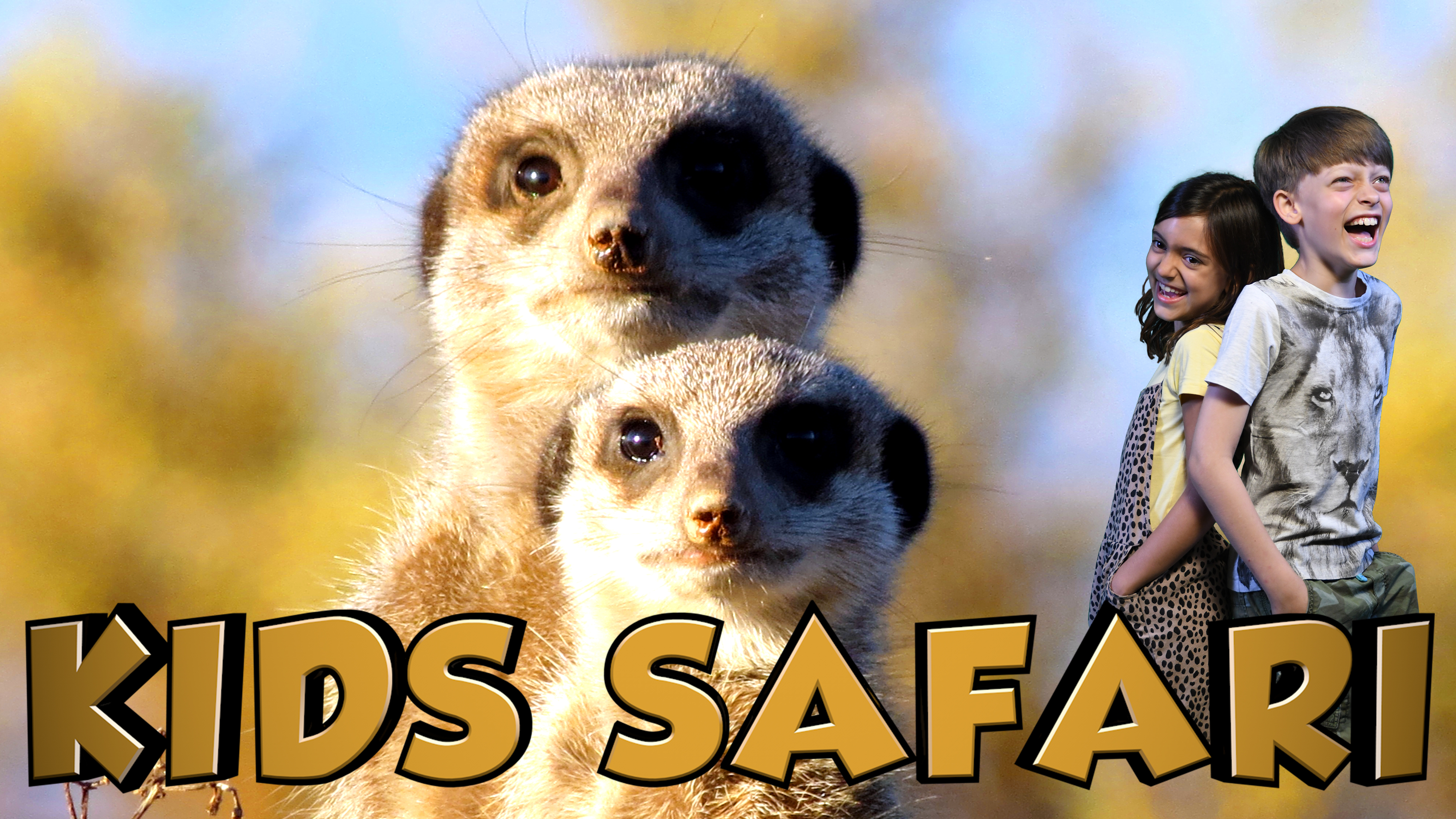 SA KIDS SAFARI -  THE MEERKATS