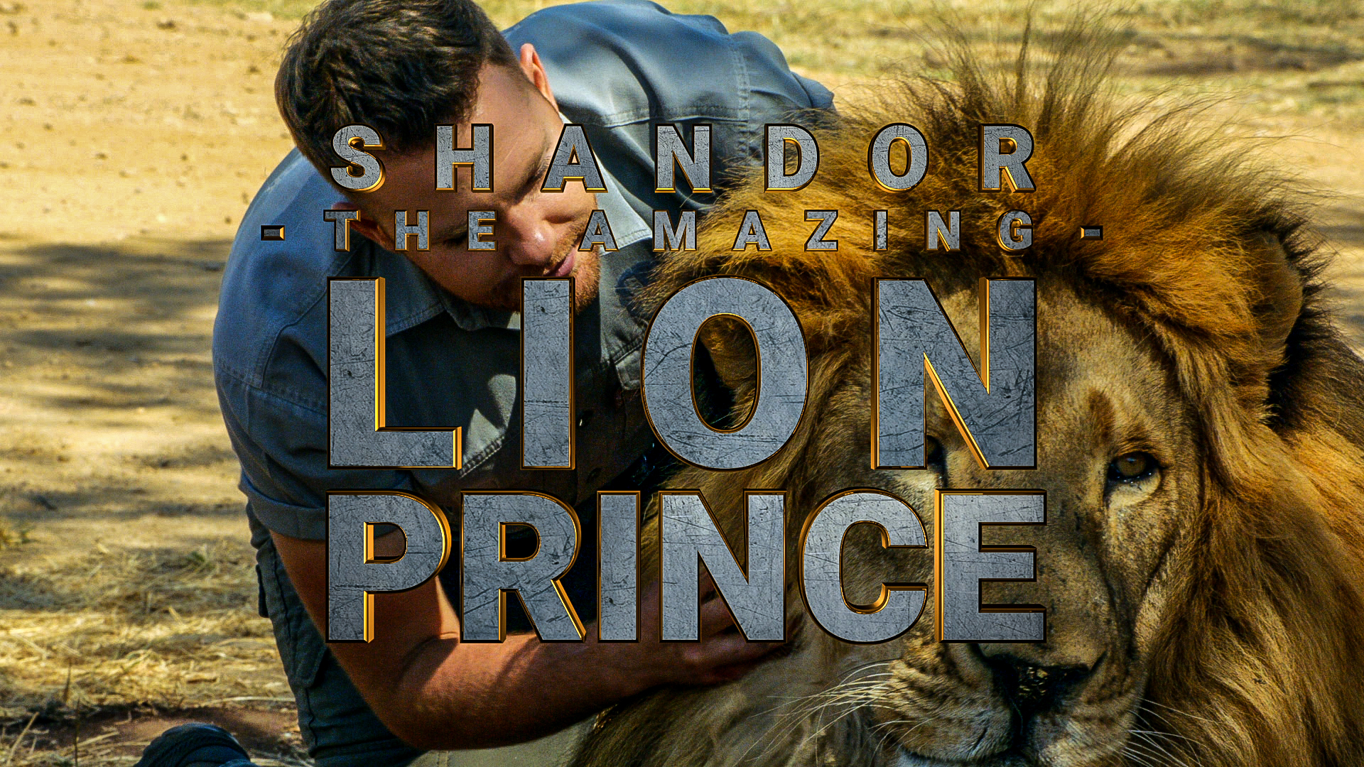 Shandor the Lion Prince