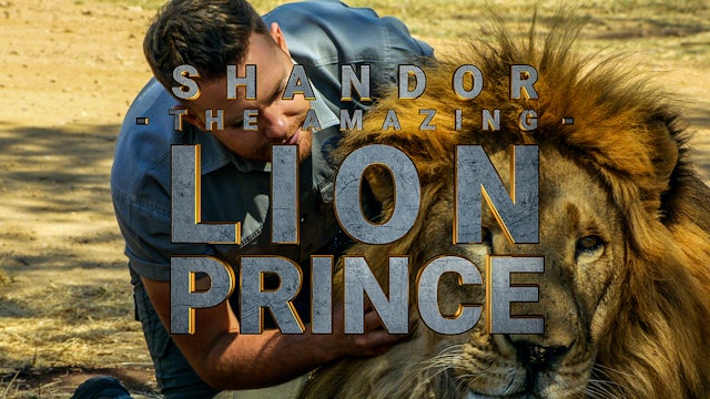 Shandor the Lion Prince