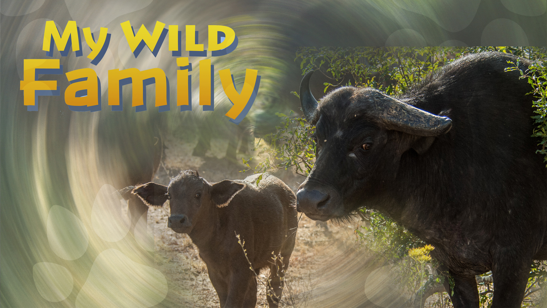 MWF206 - Baby Buffalo