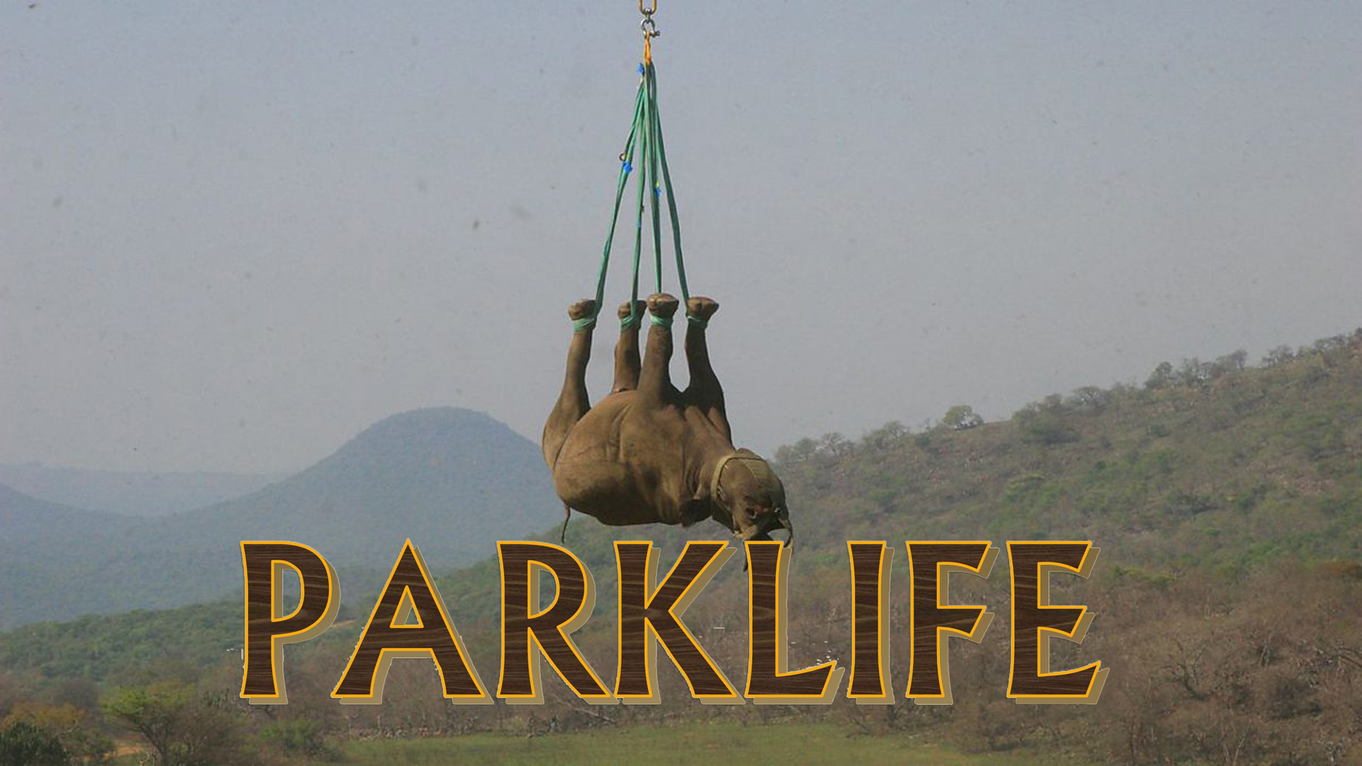 PL03 - Flying Rhino over the Kruger Park