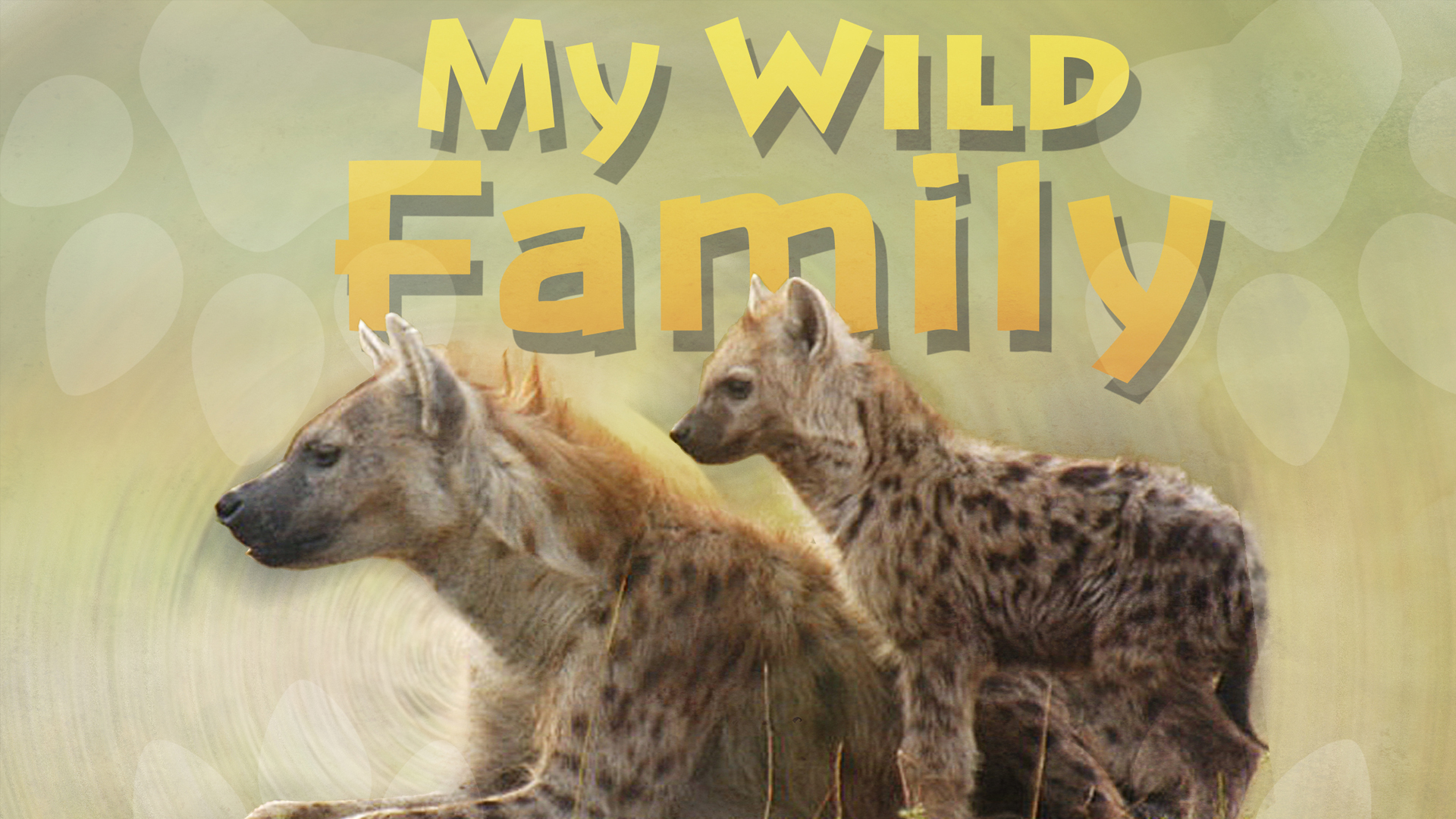 MWF104 - Baby Spotted Hyena