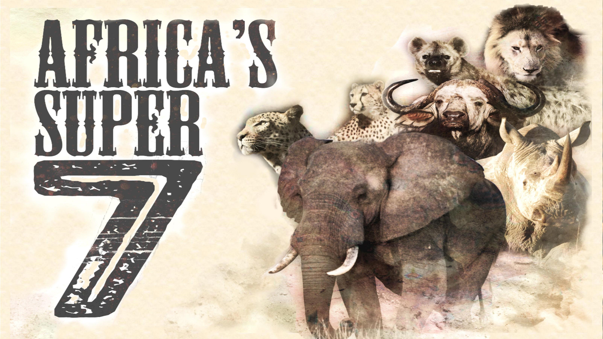 Mala Mala's Super Seven