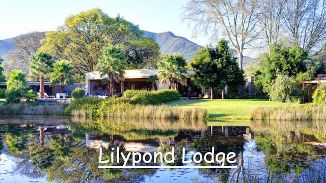 Lily Pond Country Lodge