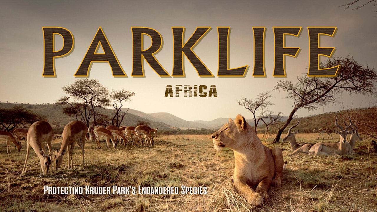 Parklife: Africa