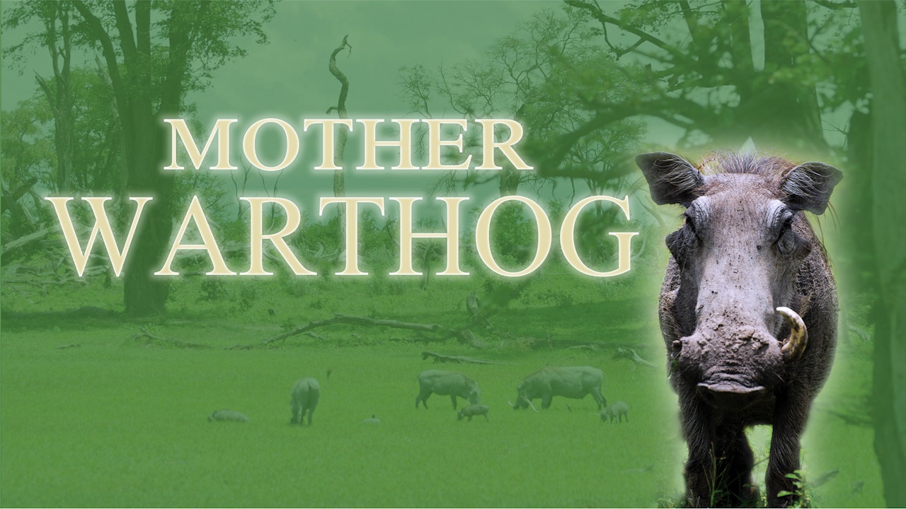 Mother Warthog