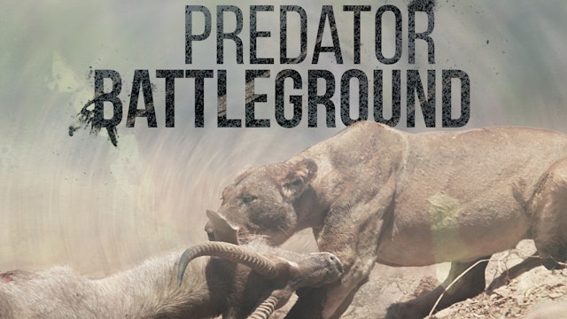 Predator Battleground