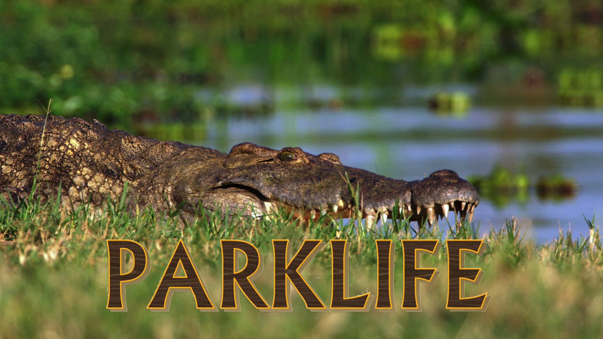 PL05 - Cybertracker & the Kruger Floods