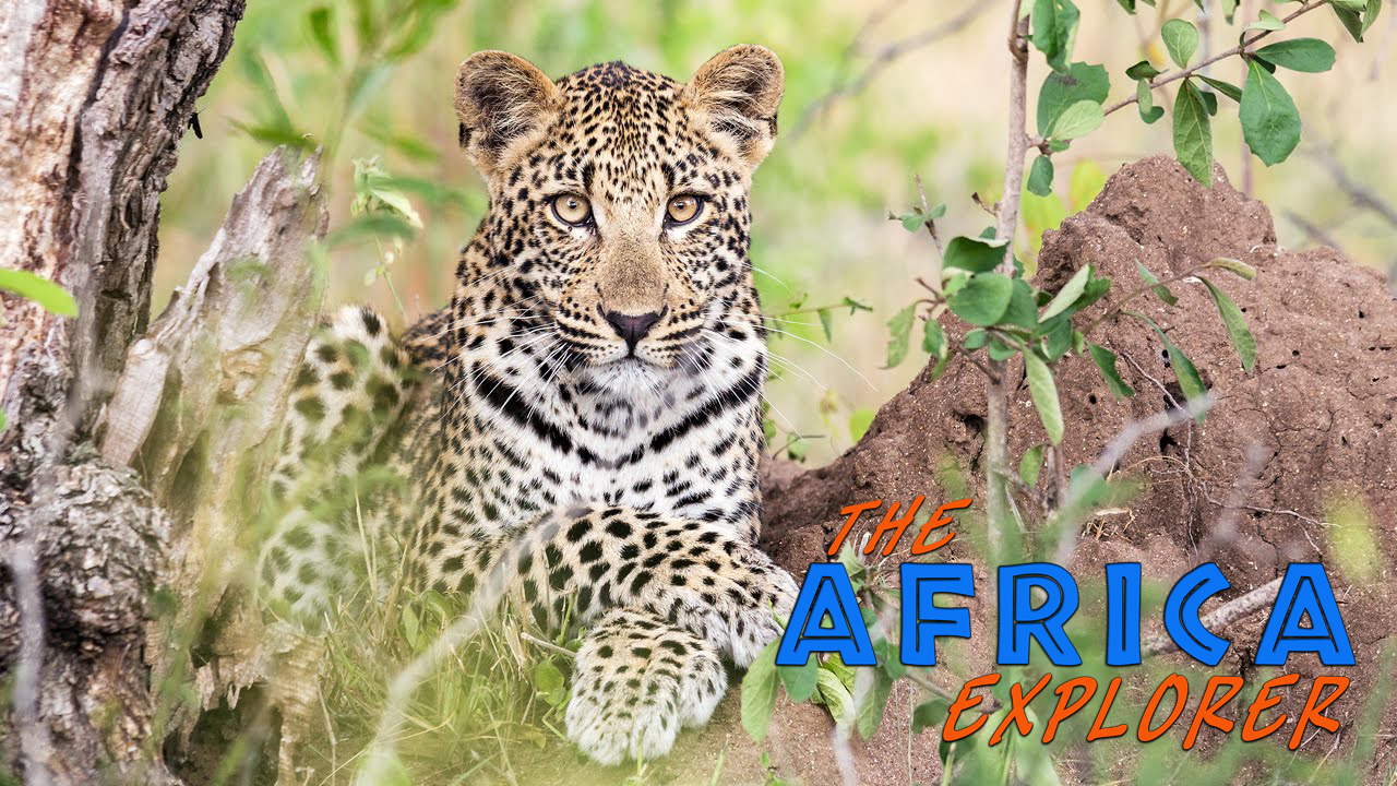 AE13 - Kruger National Park