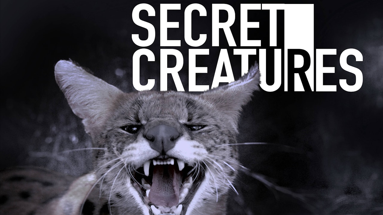 Secret Creatures