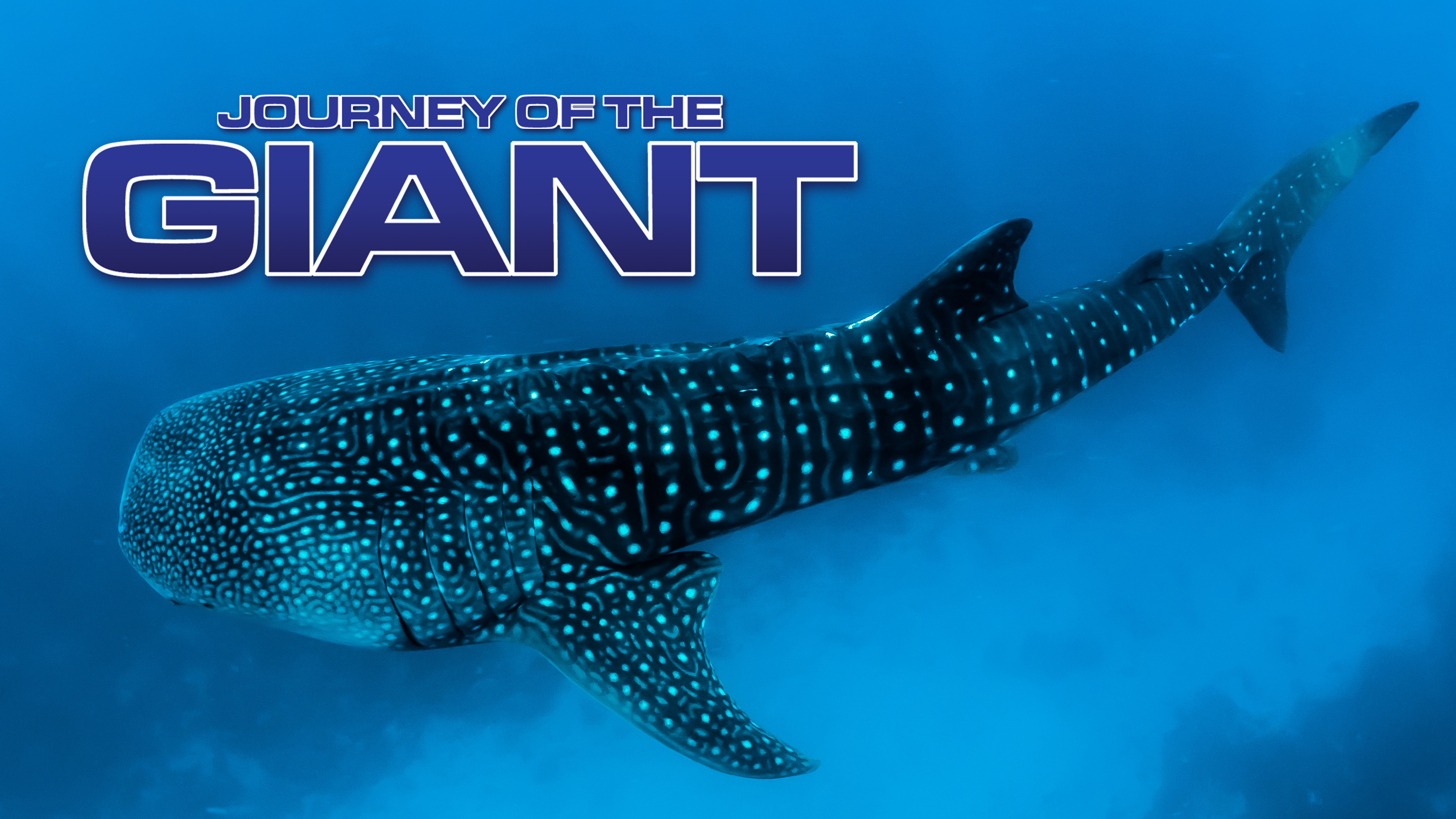 Journey of the Giant