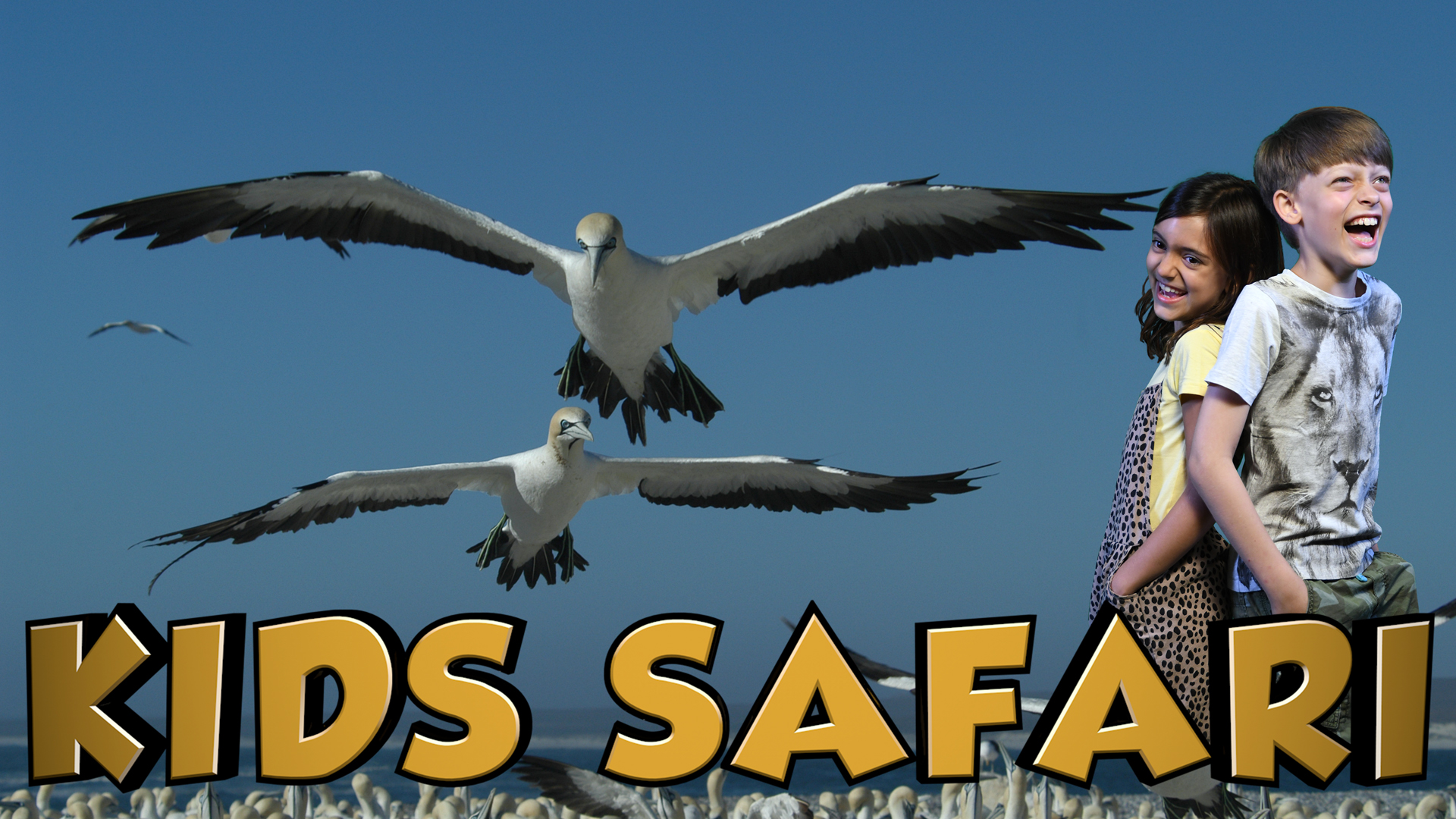 OCEAN KIDS SAFARI - GANNETS