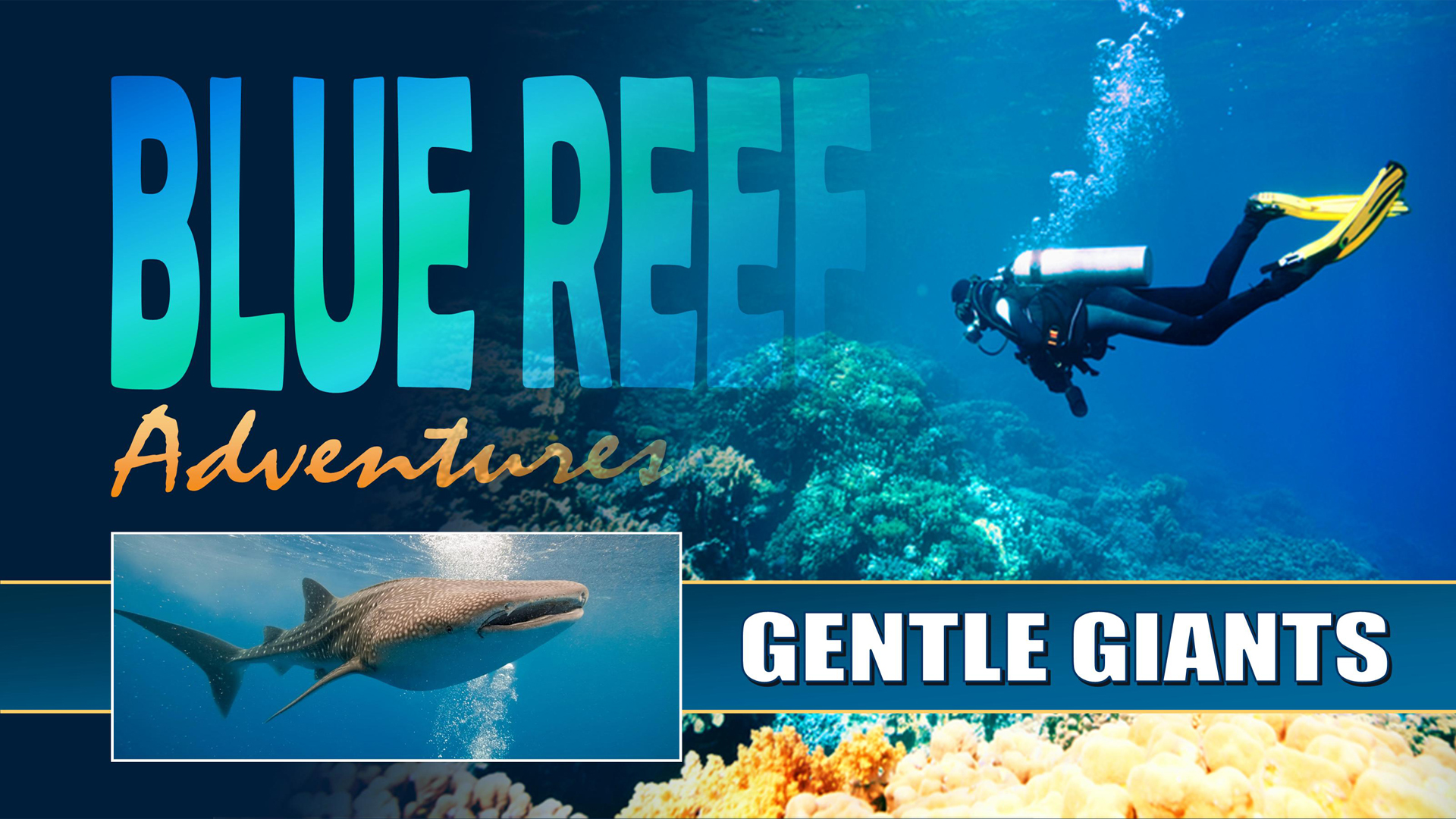 BRA02 - Gentle Giants