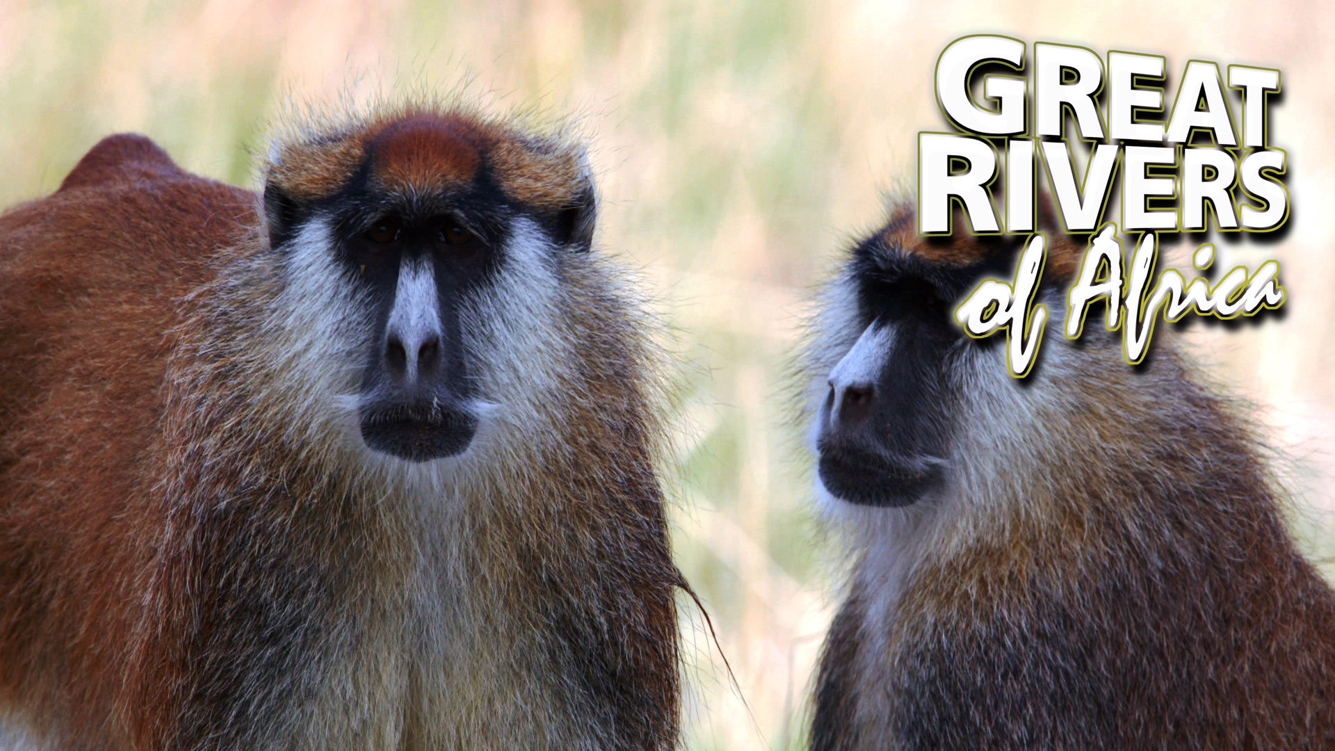 GROA13 - Ogooe river of rains