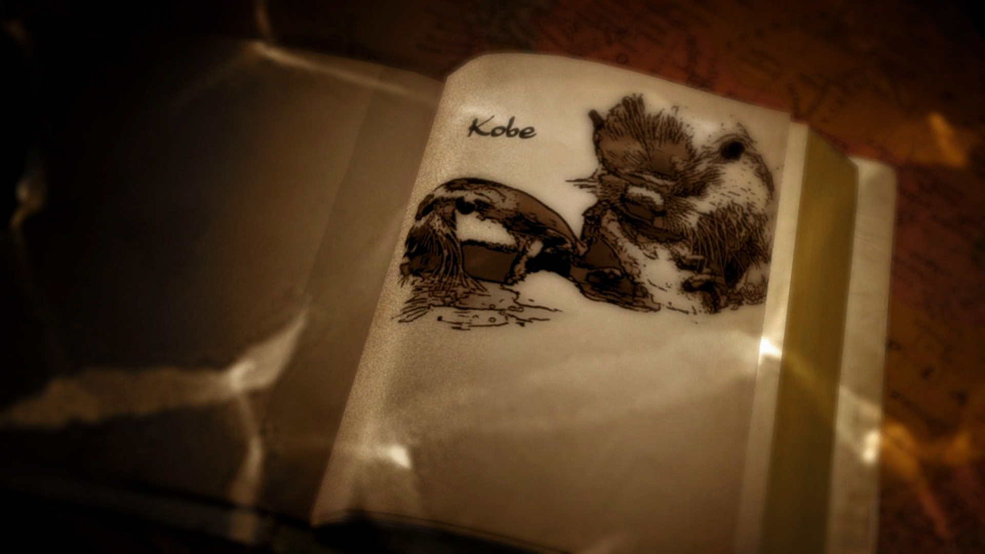 SCOJ6 - Broken Boundries