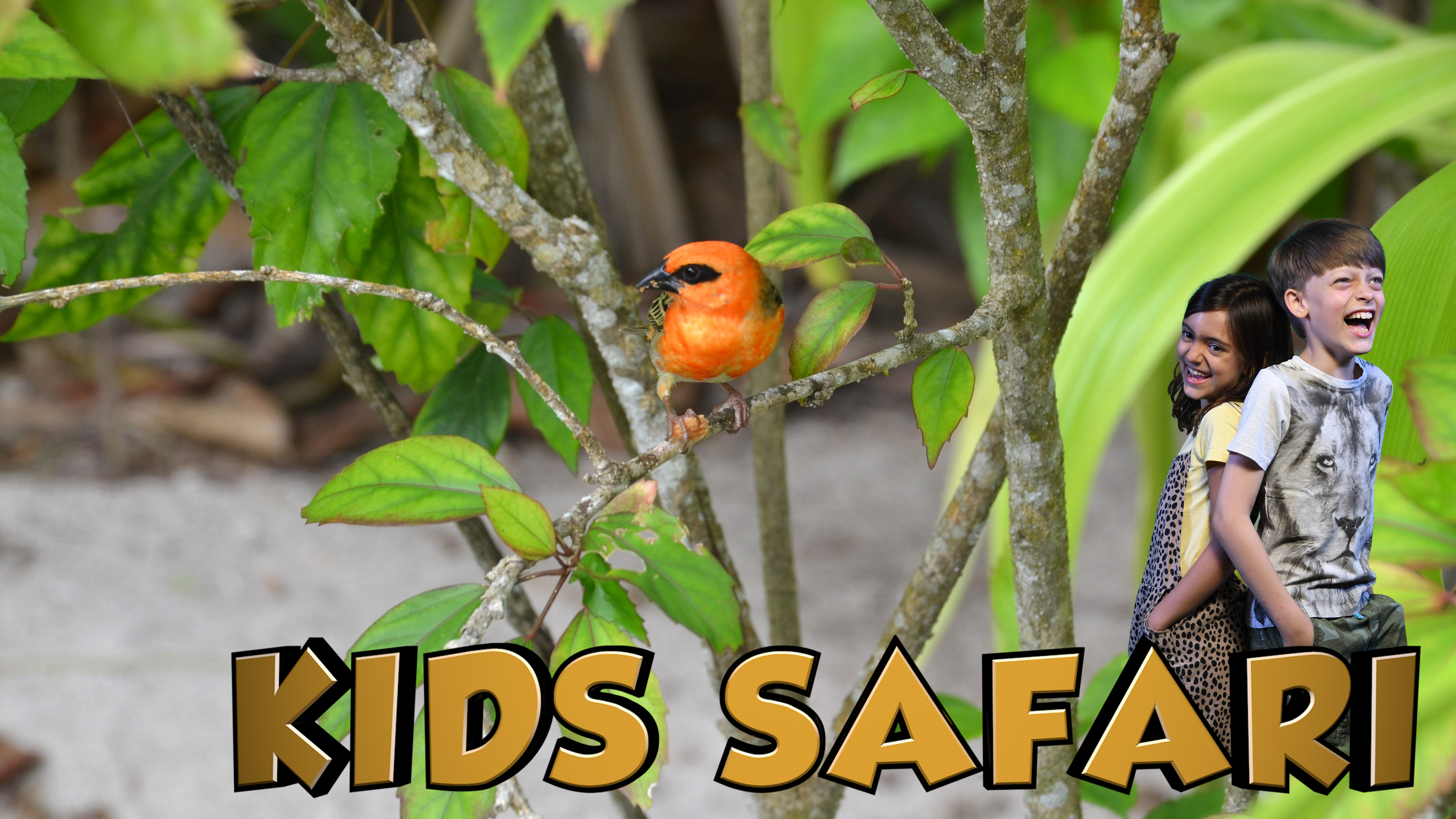 SEYCHELLES KIDS SAFARI - THE FOREST