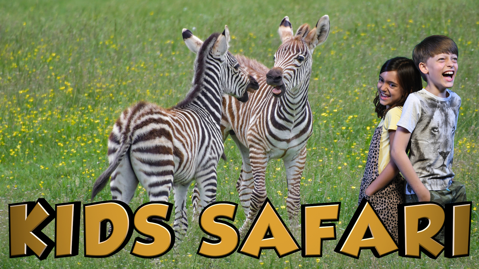 MALA MALA KIDS SAFARI - BABY CREATURES