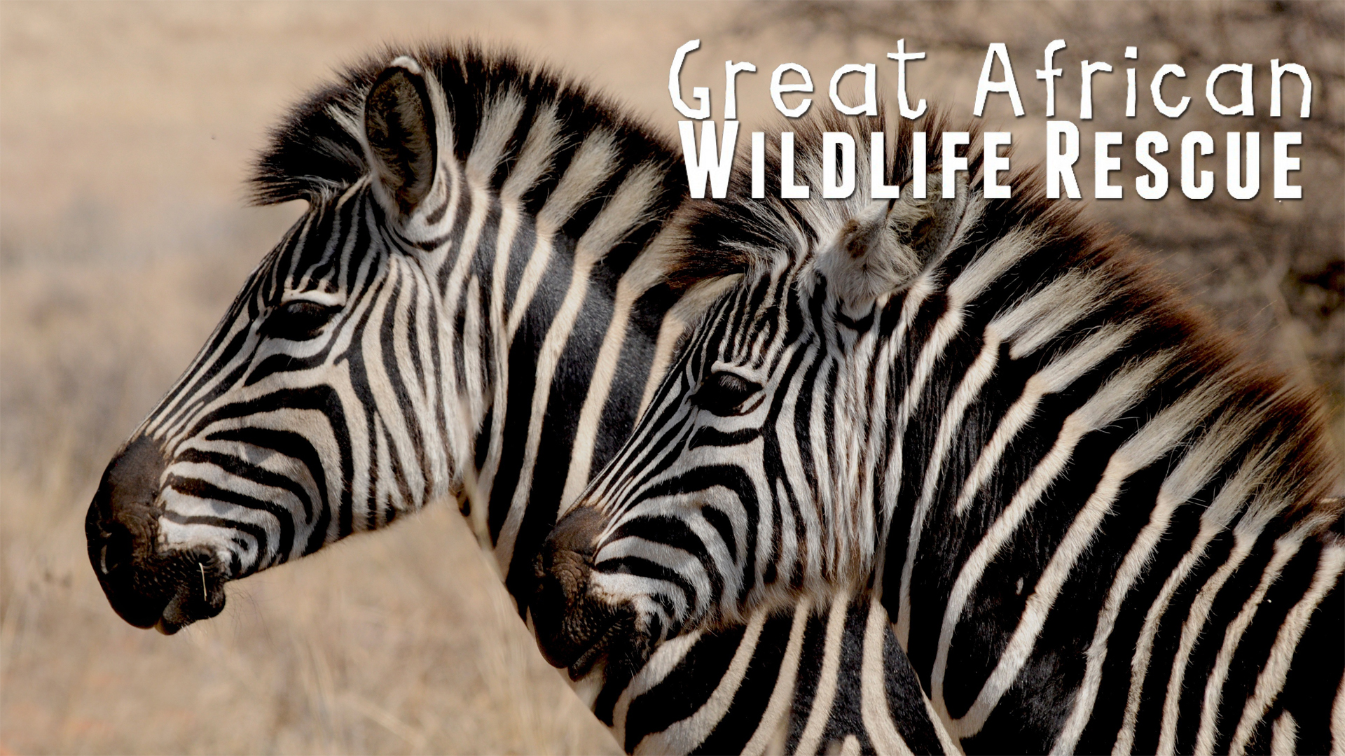 GAWR12 - Not Everything Is Black and White