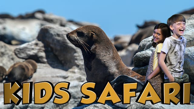 OCEAN KIDS SAFARI - SEALS